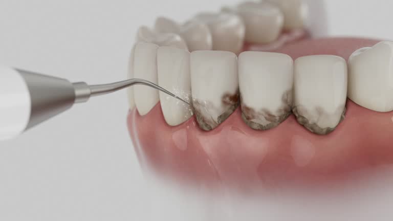 Reliable Dental contractor in Nashville, TN by Dentist Open Now